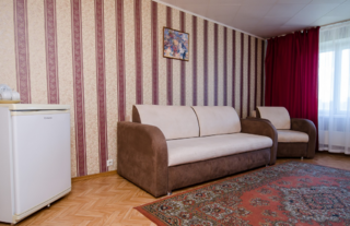 Гостиница Уралочка Челябинск Номер стандарт с 1 двуспальной кроватью-2